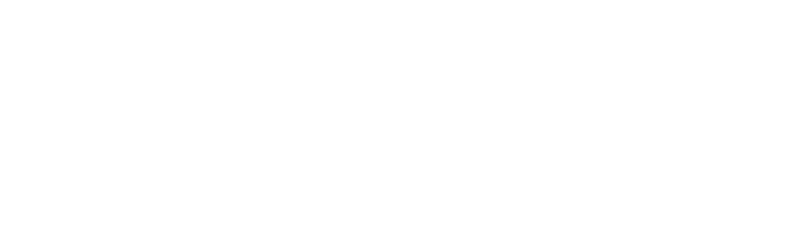 repubblica_digitale